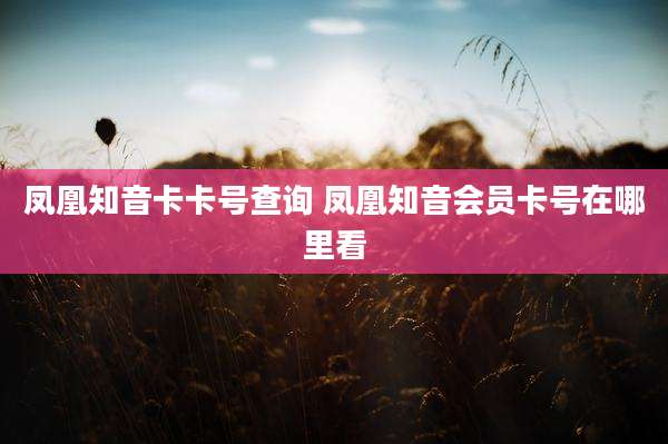 凤凰知音卡卡号查询 凤凰知音会员卡号在哪里看