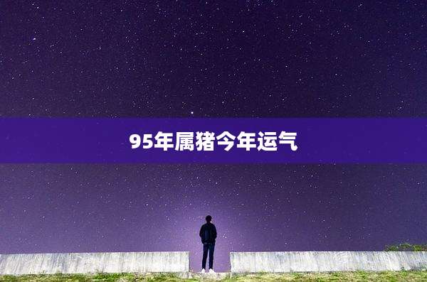 95年属猪今年运气