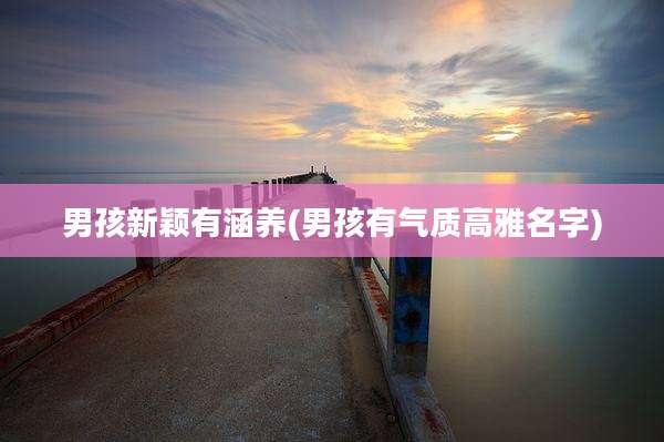 男孩新颖有涵养(男孩有气质高雅名字)