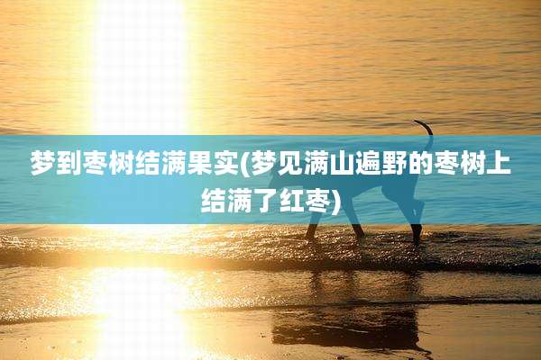 梦到枣树结满果实(梦见满山遍野的枣树上结满了红枣)