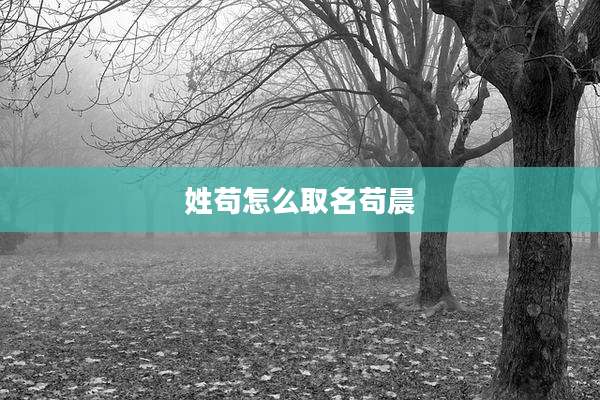 姓苟怎么取名苟晨