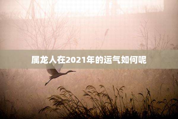 属龙人在2021年的运气如何呢