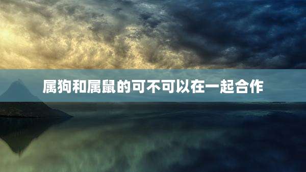 属狗和属鼠的可不可以在一起合作