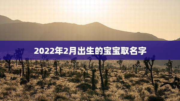 2022年2月出生的宝宝取名字