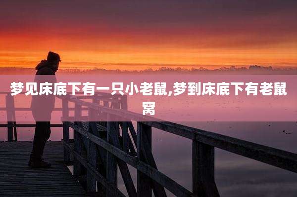 梦见床底下有一只小老鼠,梦到床底下有老鼠窝