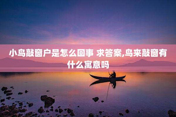 小鸟敲窗户是怎么回事 求答案,鸟来敲窗有什么寓意吗