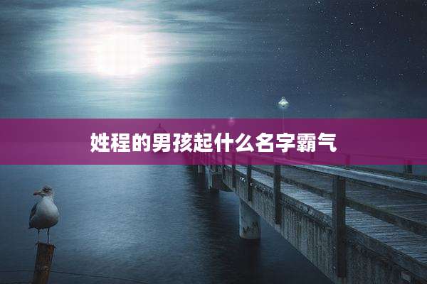 姓程的男孩起什么名字霸气