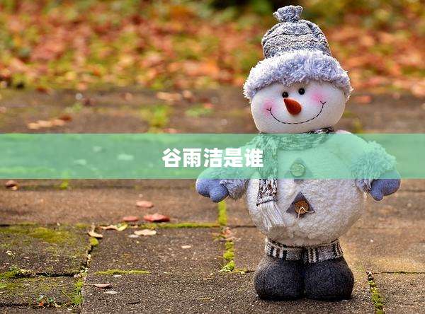 谷雨洁是谁