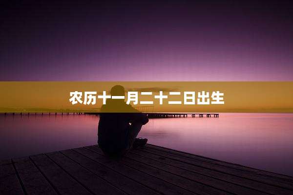 农历十一月二十二日出生