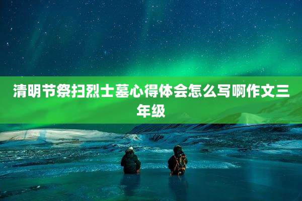 清明节祭扫烈士墓心得体会怎么写啊作文三年级