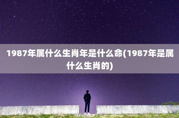 1987年属什么生肖年是什么命(1987年是属什么生肖的)