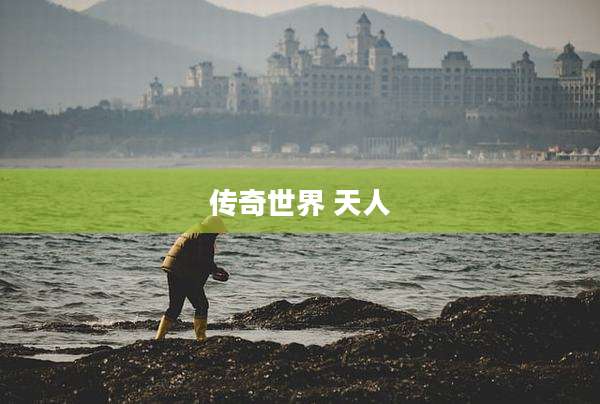 传奇世界 天人