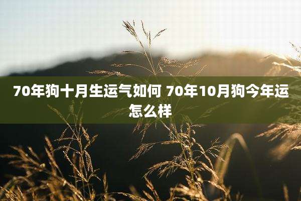 70年狗十月生运气如何 70年10月狗今年运怎么样