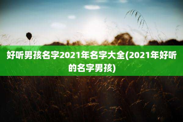 好听男孩名字2021年名字大全(2021年好听的名字男孩)