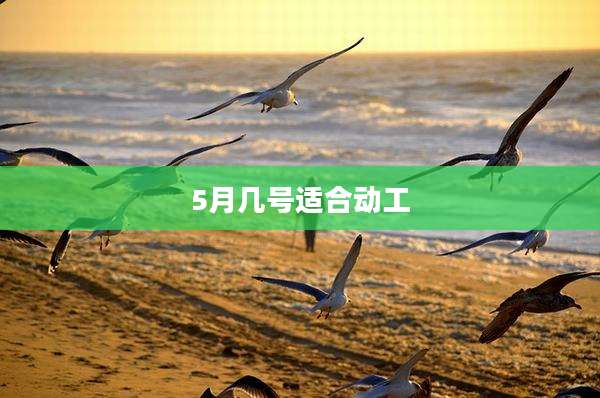 5月几号适合动工