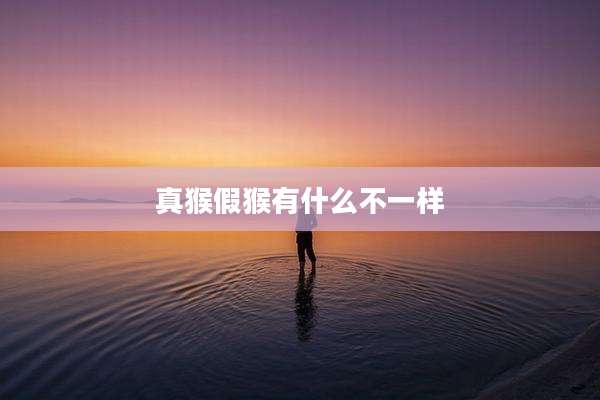 真猴假猴有什么不一样