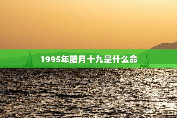 1995年腊月十九是什么命