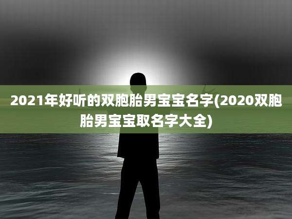 2021年好听的双胞胎男宝宝名字(2020双胞胎男宝宝取名字大全)