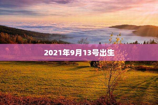 2021年9月13号出生