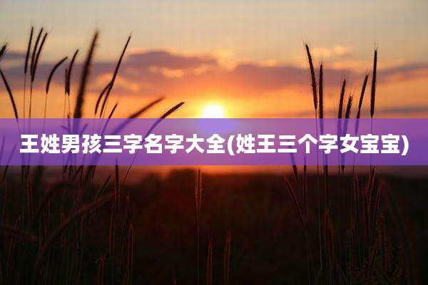 王姓男孩三字名字大全(姓王三个字女宝宝)