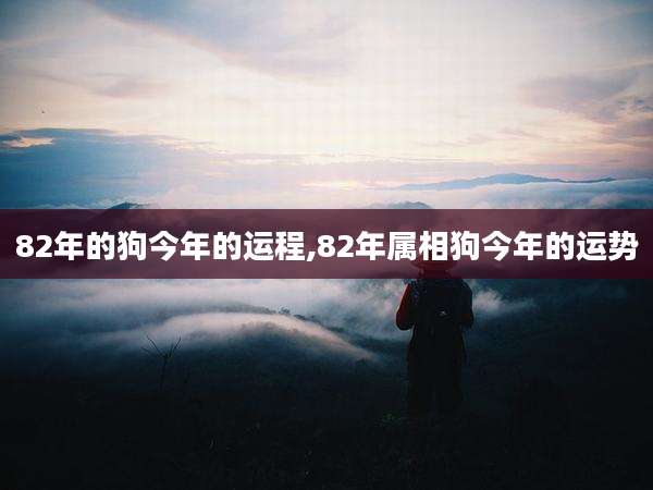 82年的狗今年的运程,82年属相狗今年的运势