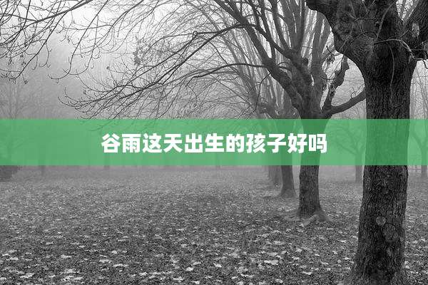 谷雨这天出生的孩子好吗
