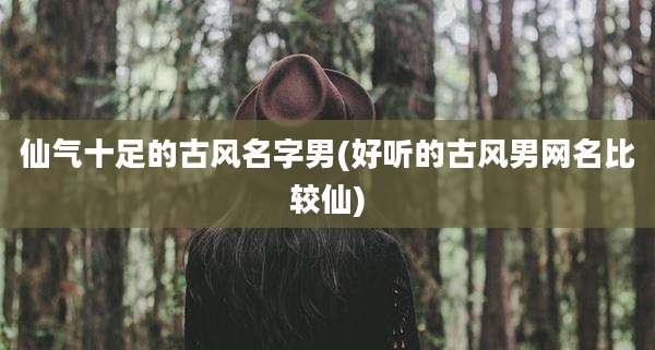 仙气十足的古风名字男(好听的古风男网名比较仙)