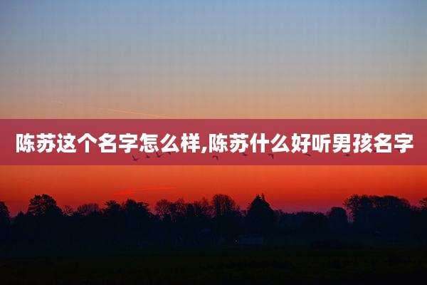 陈苏这个名字怎么样,陈苏什么好听男孩名字