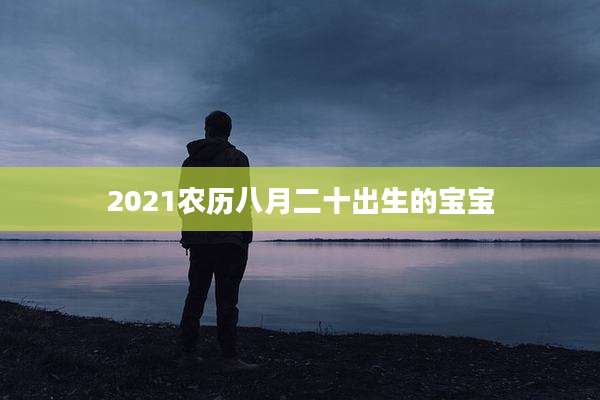 2021农历八月二十出生的宝宝
