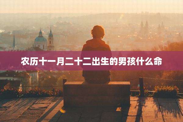 农历十一月二十二出生的男孩什么命