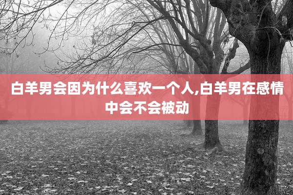 白羊男会因为什么喜欢一个人,白羊男在感情中会不会被动