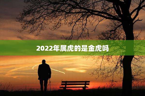 2022年属虎的是金虎吗