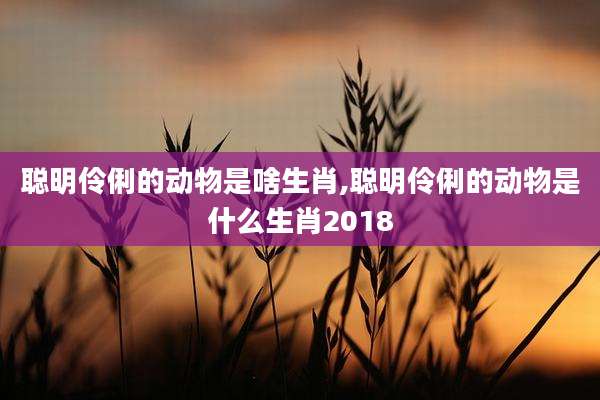 聪明伶俐的动物是啥生肖,聪明伶俐的动物是什么生肖2018
