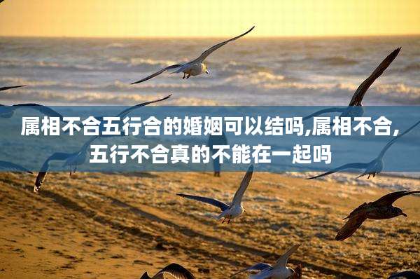 属相不合五行合的婚姻可以结吗,属相不合,五行不合真的不能在一起吗