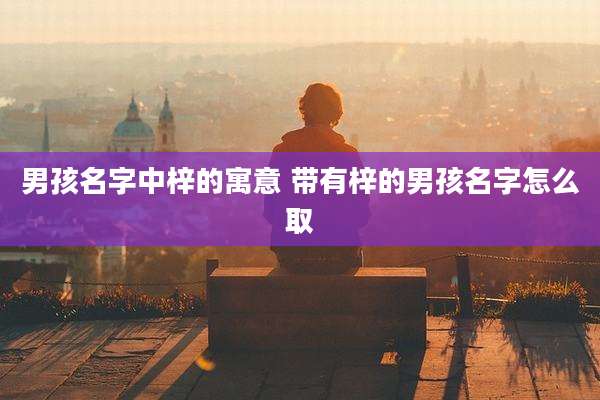 男孩名字中梓的寓意 带有梓的男孩名字怎么取