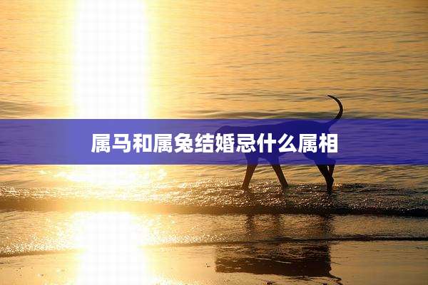 属马和属兔结婚忌什么属相
