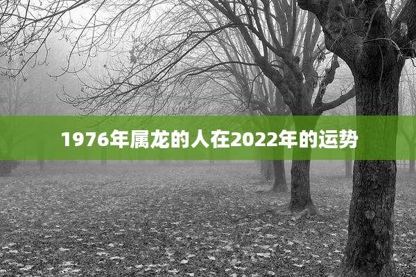 1976年属龙的人在2022年的运势