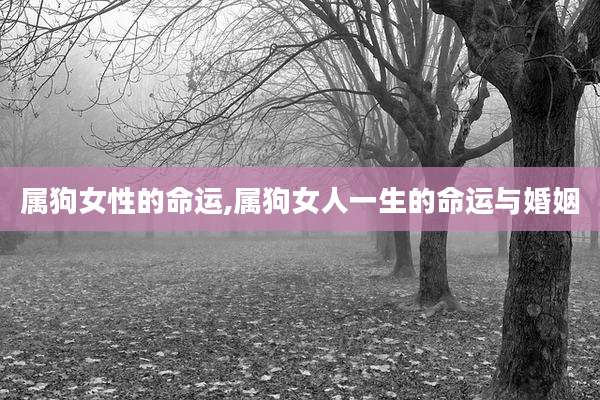属狗女性的命运,属狗女人一生的命运与婚姻