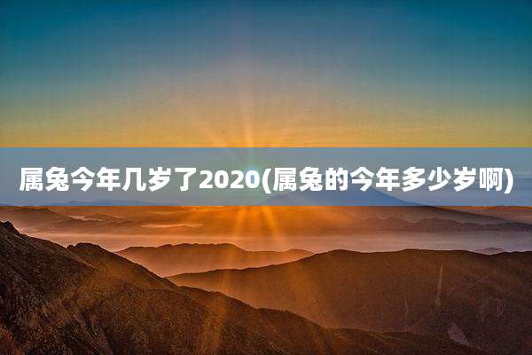 属兔今年几岁了2020(属兔的今年多少岁啊)