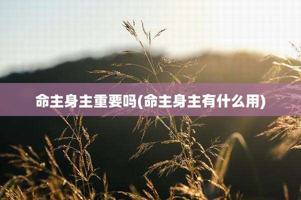 命主身主重要吗(命主身主有什么用)