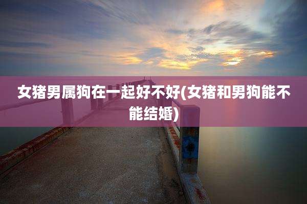 女猪男属狗在一起好不好(女猪和男狗能不能结婚)