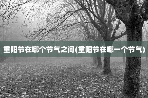 重阳节在哪个节气之间(重阳节在哪一个节气)