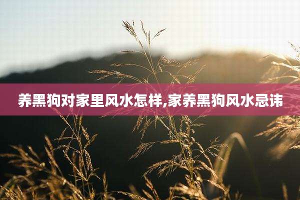 养黑狗对家里风水怎样,家养黑狗风水忌讳