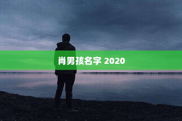 肖男孩名字 2020
