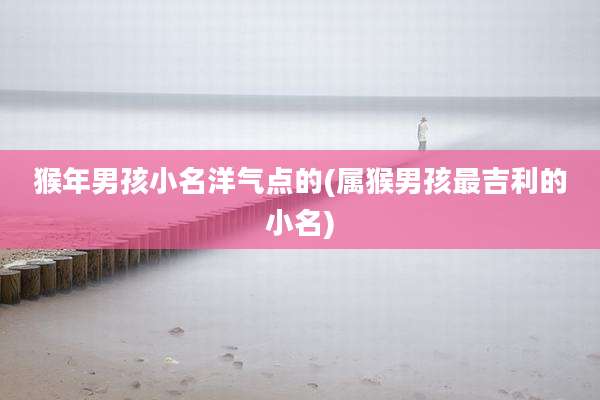 猴年男孩小名洋气点的(属猴男孩最吉利的小名)