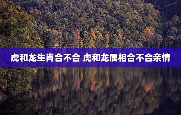 虎和龙生肖合不合 虎和龙属相合不合亲情