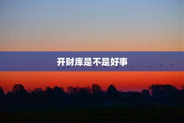 开财库是不是好事