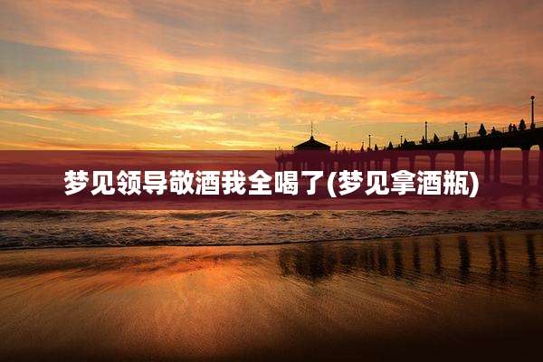 梦见领导敬酒我全喝了(梦见拿酒瓶)