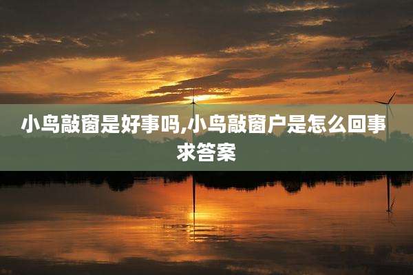 小鸟敲窗是好事吗,小鸟敲窗户是怎么回事 求答案
