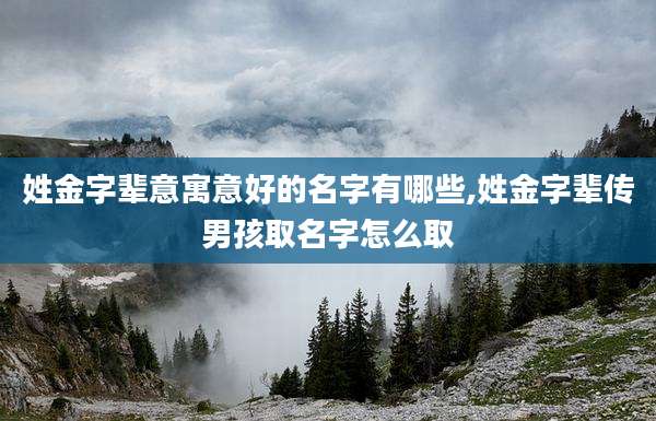 姓金字辈意寓意好的名字有哪些,姓金字辈传男孩取名字怎么取